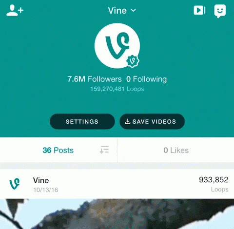 vine-export